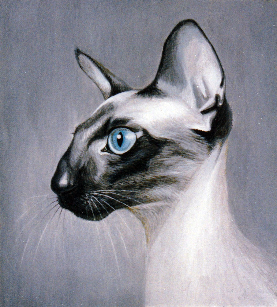 «Лоліта». 2000. Папір, пастель